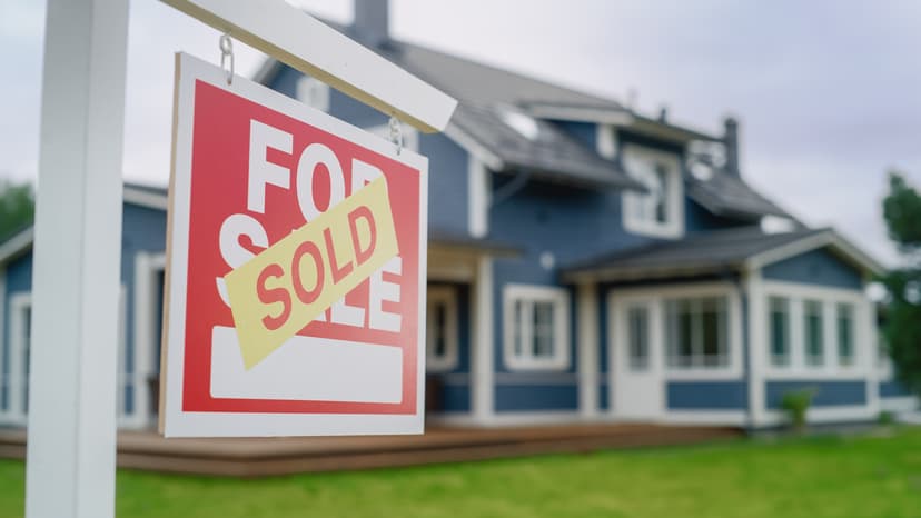 Buying Your First Home? Ask These Pest Questions
