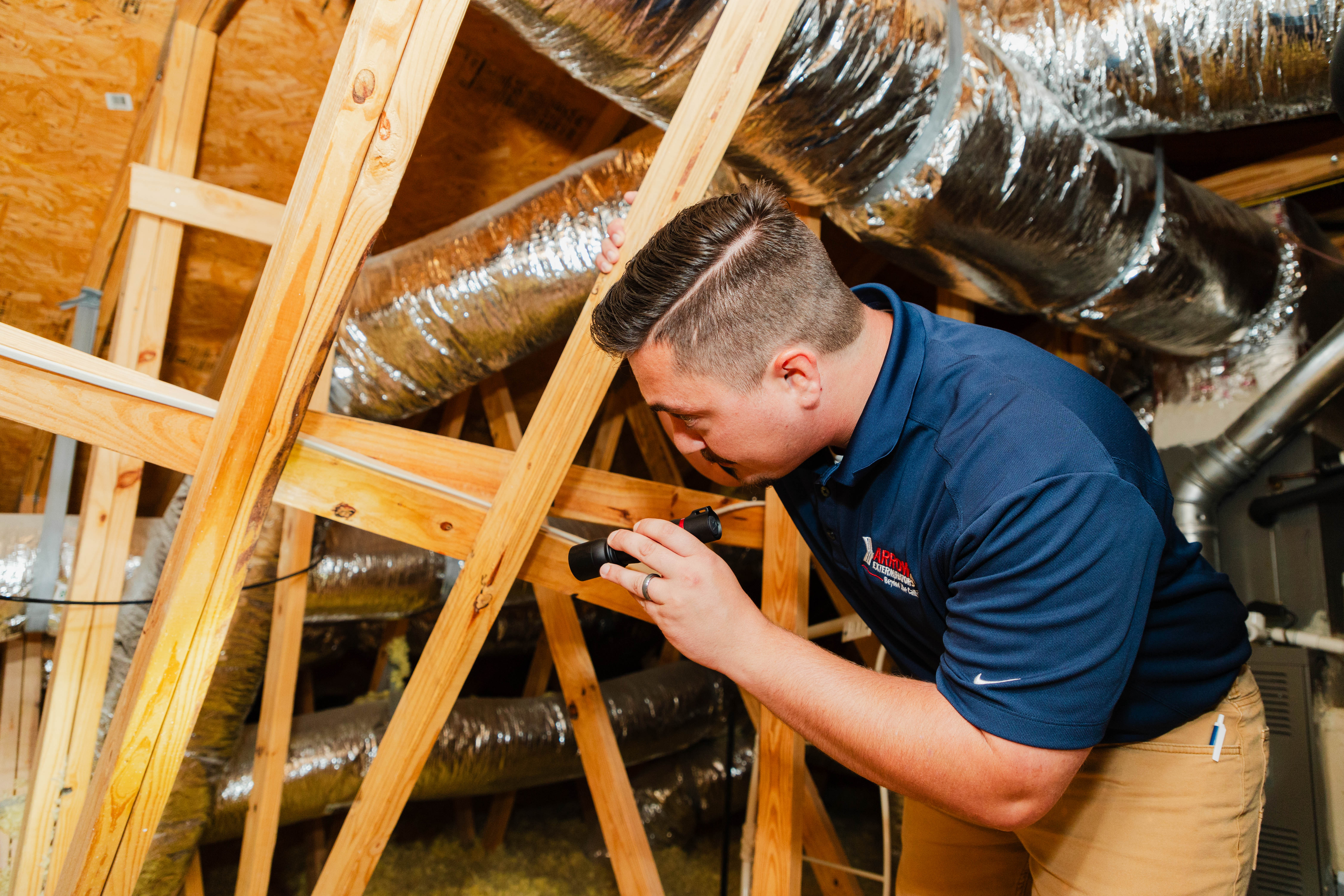 arrow inspector checking attic