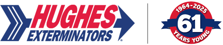 Hughes logo